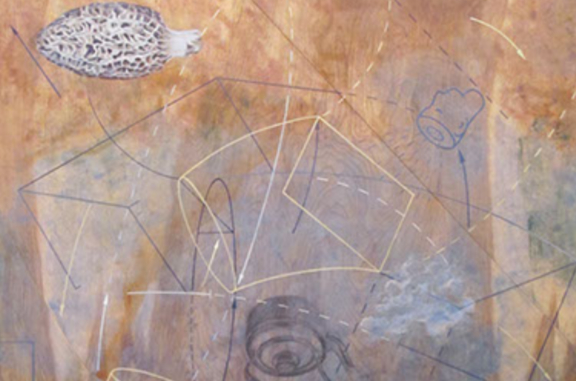 FAULT LINES